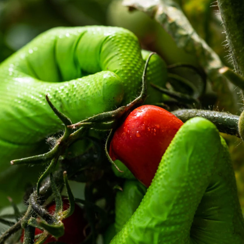 Rękawiczki nitrylowe L zielone Mercator Gogrip green 50szt