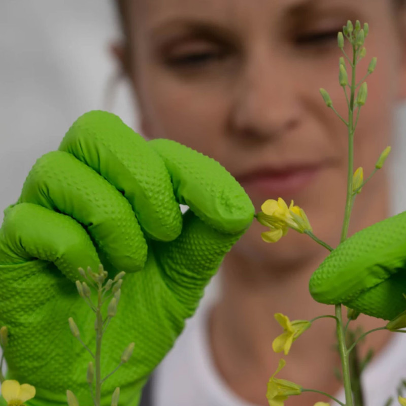 Rękawiczki nitrylowe XL zielone Mercator Gogrip green 50szt