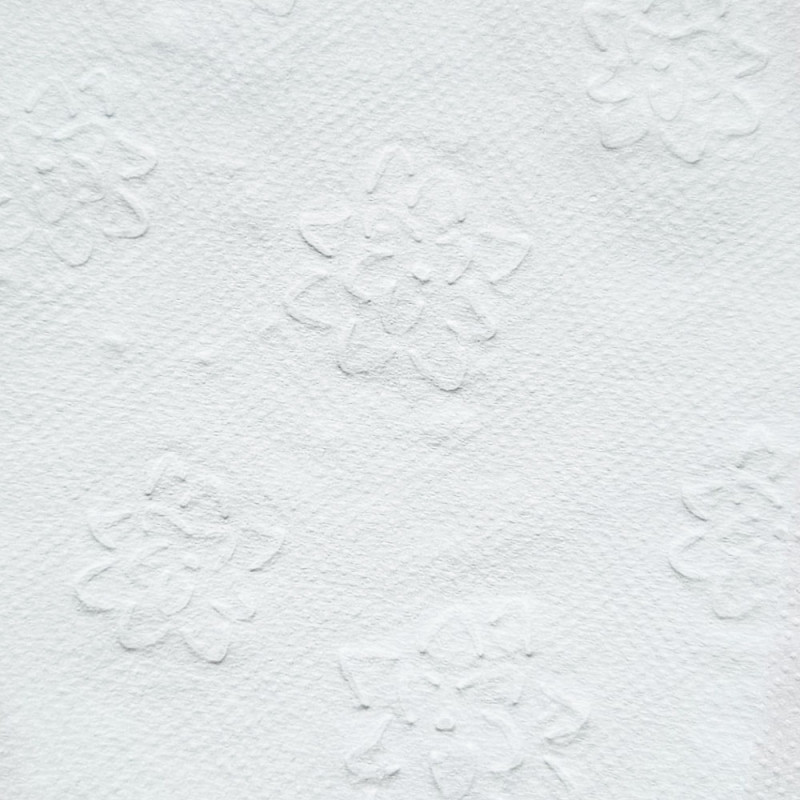 Mini papier toaletowy 14,3m biały 2 warstwy Bulkysoft Classic 12 rolek