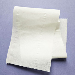 Papier toaletowy mini jumbo długi 170m biały gładki 2 warstwy Bulkysoft Premium 12 rolek