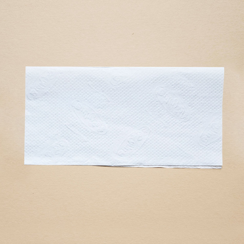 Ekologiczny ręcznik papierowy w listkach krótki 21x21cm składany typu ZZ V-FOLD 3000szt biały 2 warstwy