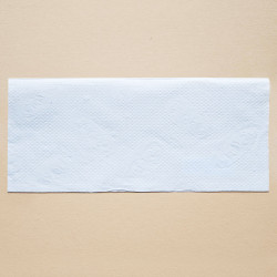 Ekologiczny ręcznik papierowy w listkach mocny i chłonny 24x21cm składany typu ZZ V-FOLD 3000szt biały 2 warstwy