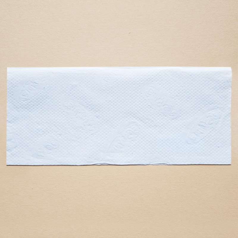 Ekologiczny ręcznik papierowy w listkach mocny i chłonny 24x21cm składany typu ZZ V-FOLD 3000szt biały 2 warstwy 4op