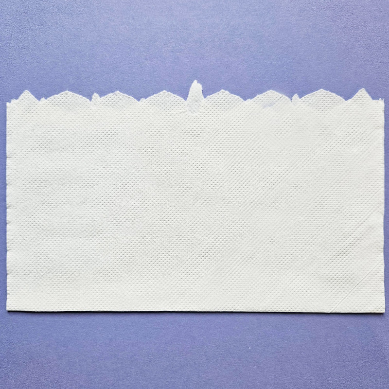 Ręcznik papierowy chłonny do systemu autocut 150m biały 2 warstwy w roli Bulkysoft Membrane Plus 6 rolek