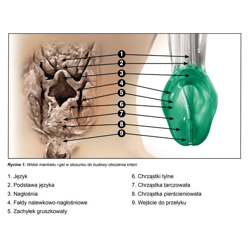 Maska krtaniowa I gel rozmiar 2 dla małego dziecka maska oddechowa intubacyjna żelowa I-gel 1 szt